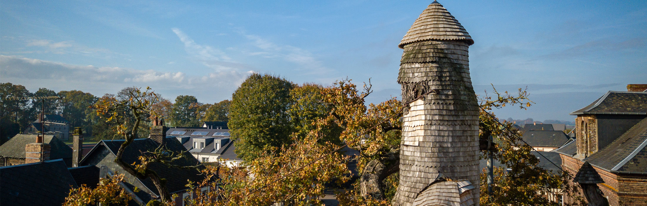 
Le Chêne d'Allouville-Bellefosse, un chêne unique en France



Au cœur du village d'Allouville-Bellefosse où il règne en maître depuis des centaines 1