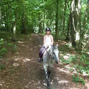 Equitation