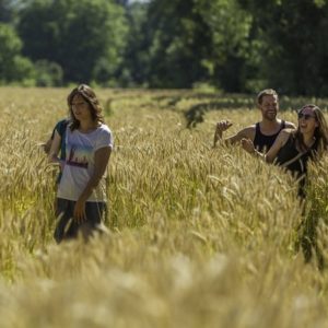 Les circuits de randonnée autour d'Yvetot