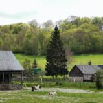 actualité suivante