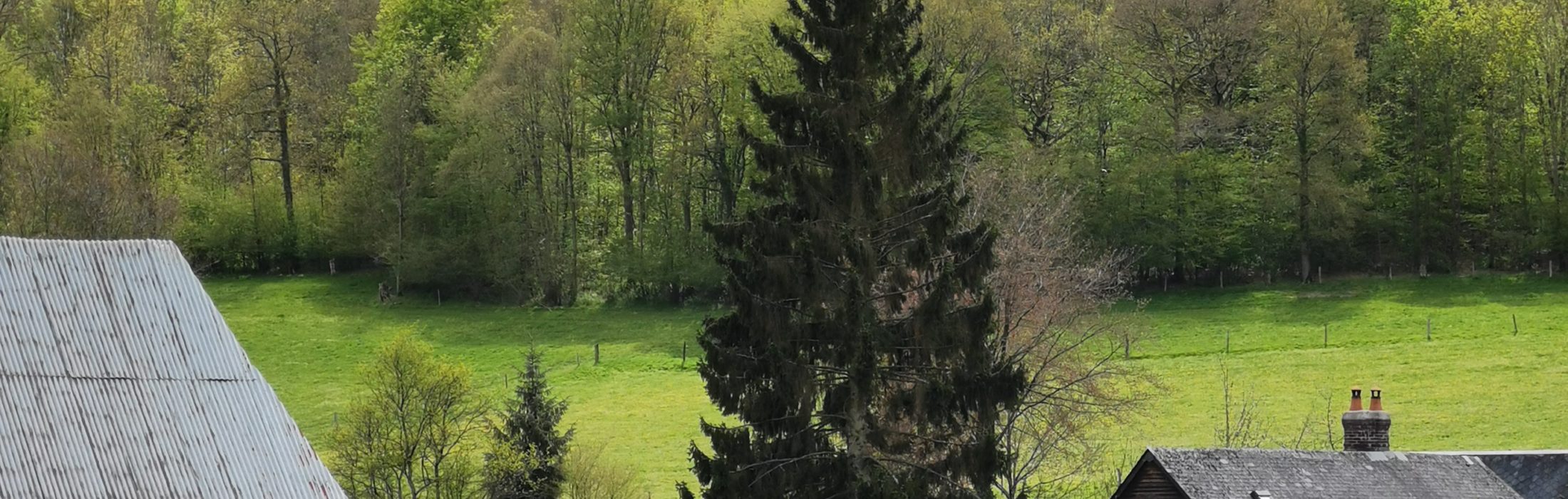 Le Val au Cesne 