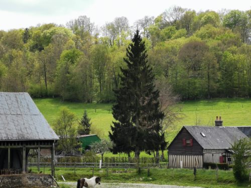 Le Val au Cesne