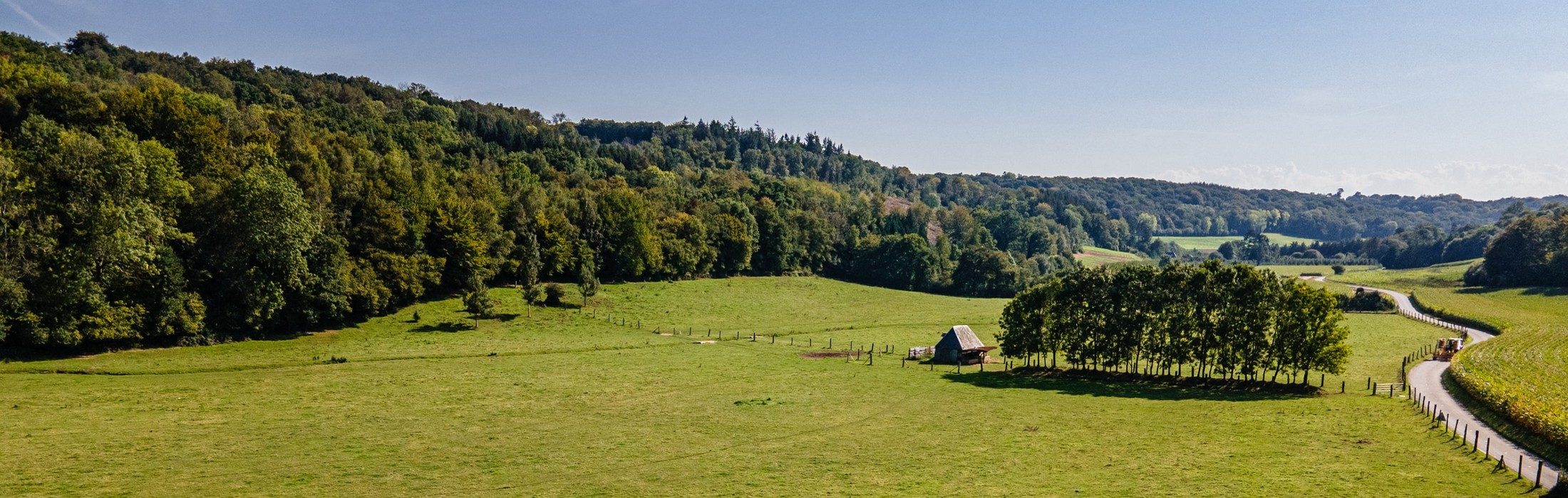 
Le Val au Cesne, un paysage traditionnel normand



De la nature



Le Val au Cesne est un site naturel de 960 hectares, classé et protégé
depuis 1997. 1