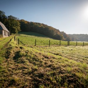 Immergez-vous dans le site naturel classé du Val au Cesne