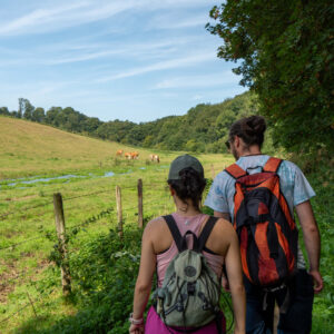 Se ressourcer au cœur de la nature, à Yvetot et ses alentours