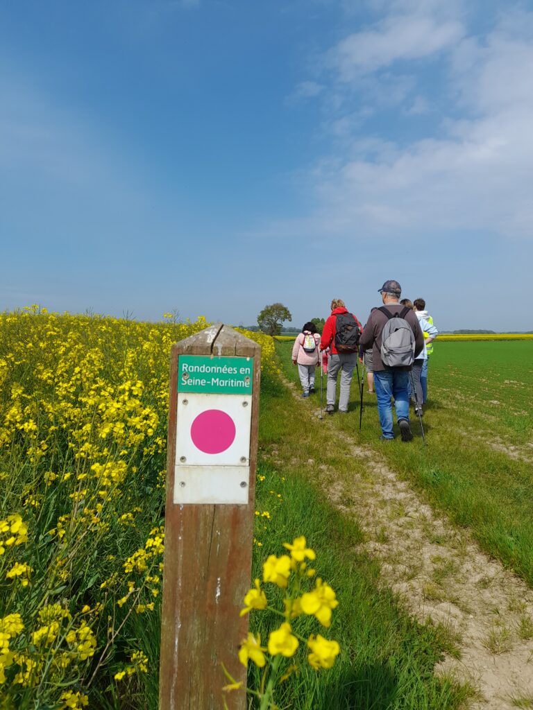 Circuit de randonnée autour d'Yvetot : N°14 - La Plaine de Sonimare.