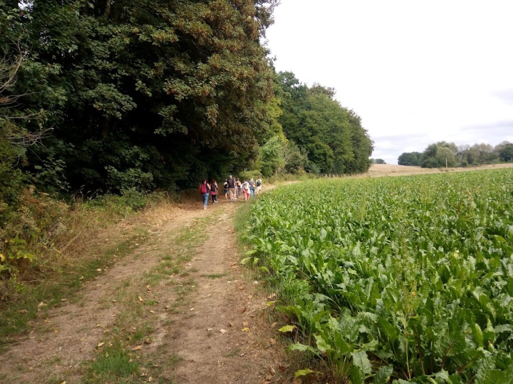 Circuit de randonnée autour d'Yvetot : N°12 - Le Mont l'Evêque.