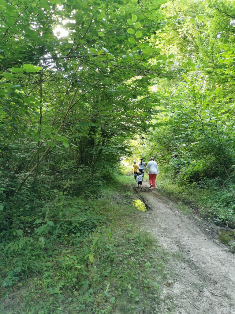Circuit de randonnée autour d'Yvetot : N°1 - Le Bois de la Bretèque.