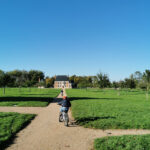 actualité précédente