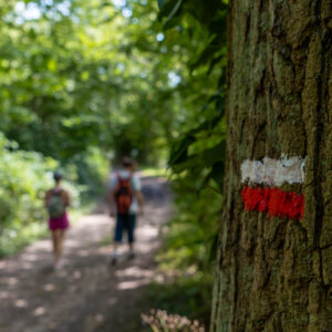 Le GR211 ®, un itinéraire de grande randonnée passant par Yvetot